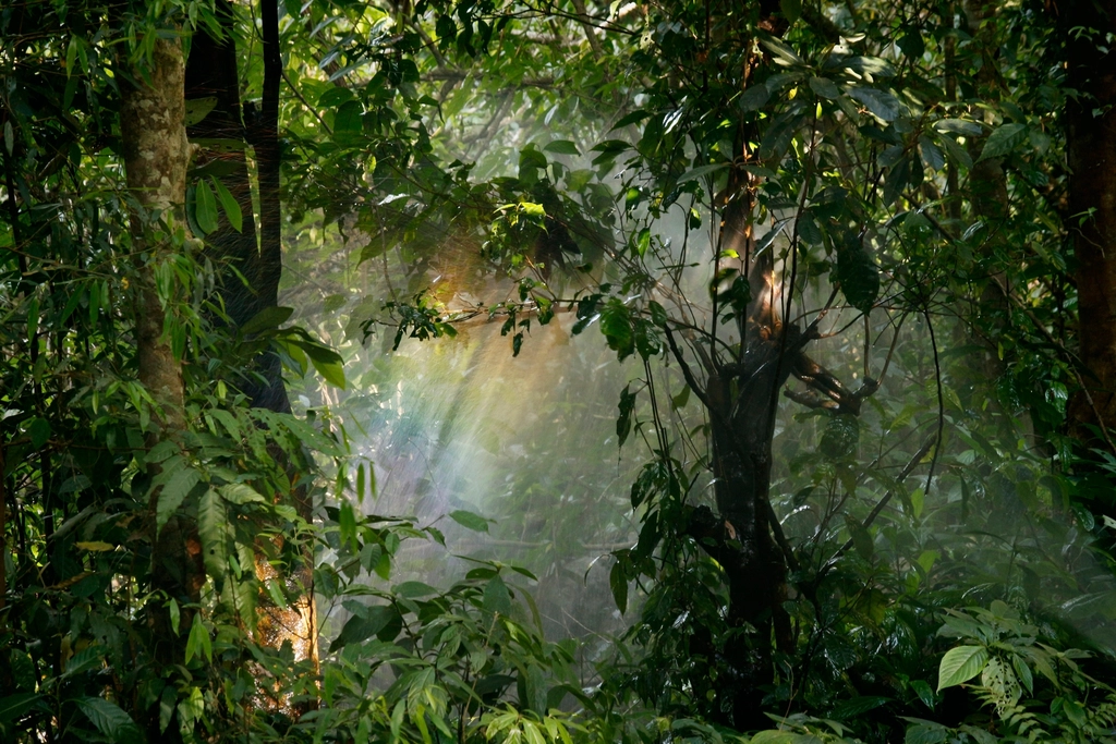 Climate & Weather in Panama: Dry Season, Rainy Season & Where It's Coolest