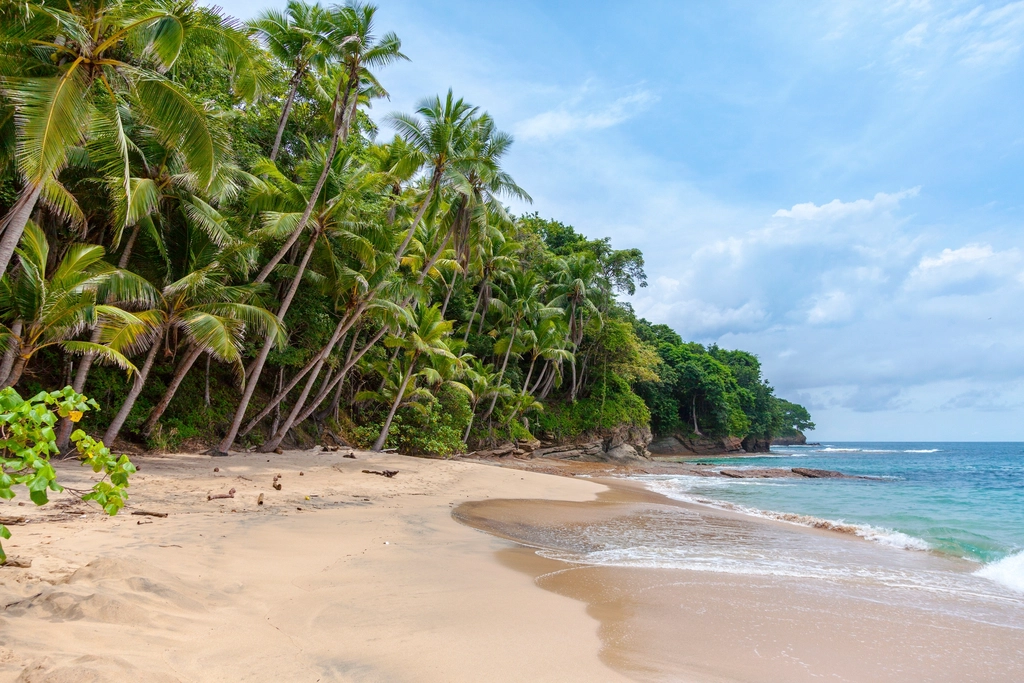 Internet & Cell Phone Plans in Panama