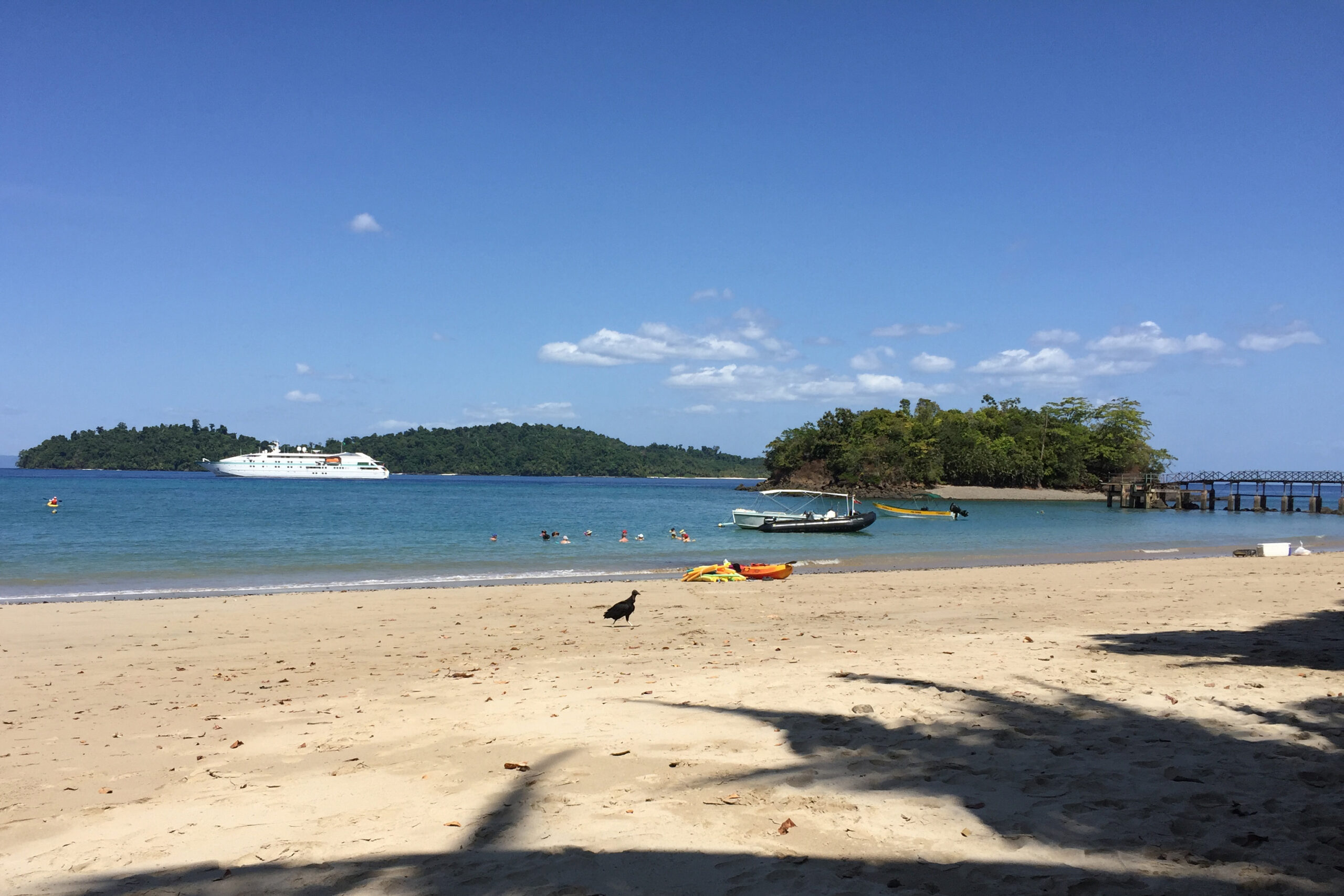 Playa El Palmar near Coronado, Panama: Surf Beach Guide
