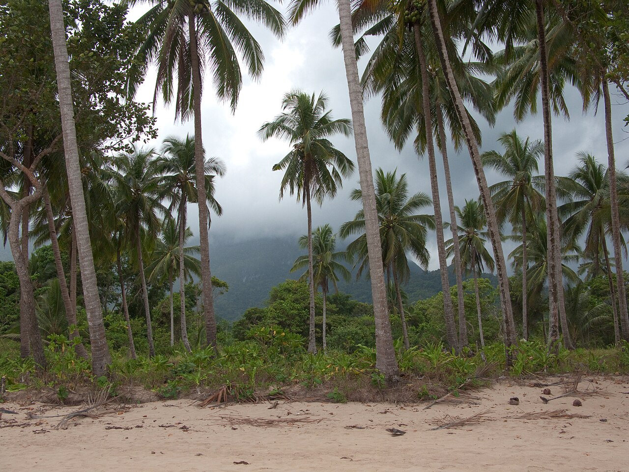 Moving to San Carlos, Panama: Complete Guide